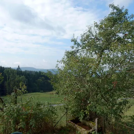 Charming Near The Slopes Vagney