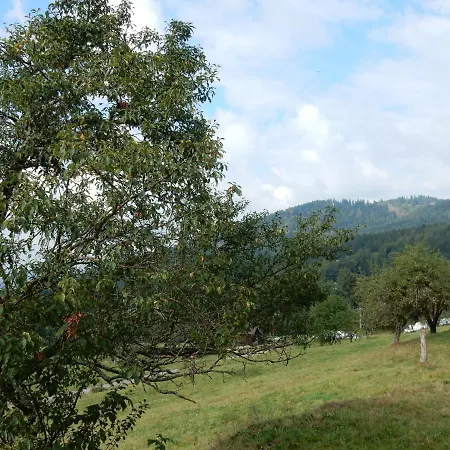Charming Near The Slopes *
