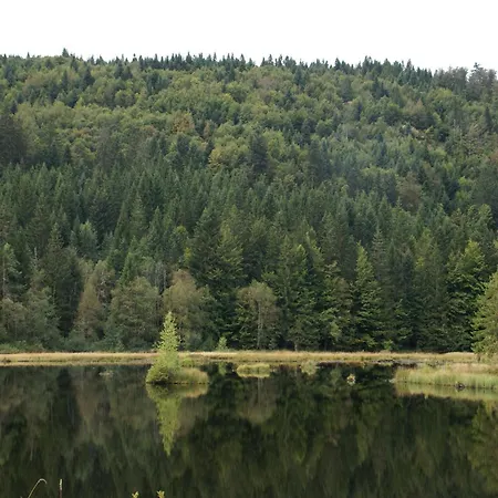 Near Gerardmer Holiday home