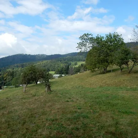 Near Gerardmer Holiday home Vagney